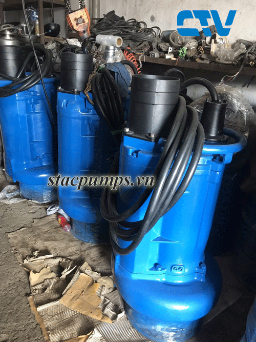 Cho thuê máy bơm nước