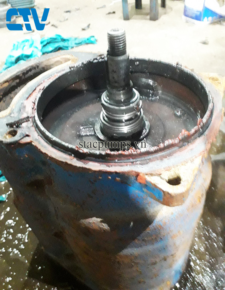 5 Sai Lầm Nghiêm Trọng Khi Lắp Phớt Máy Bơm Cần Tránh