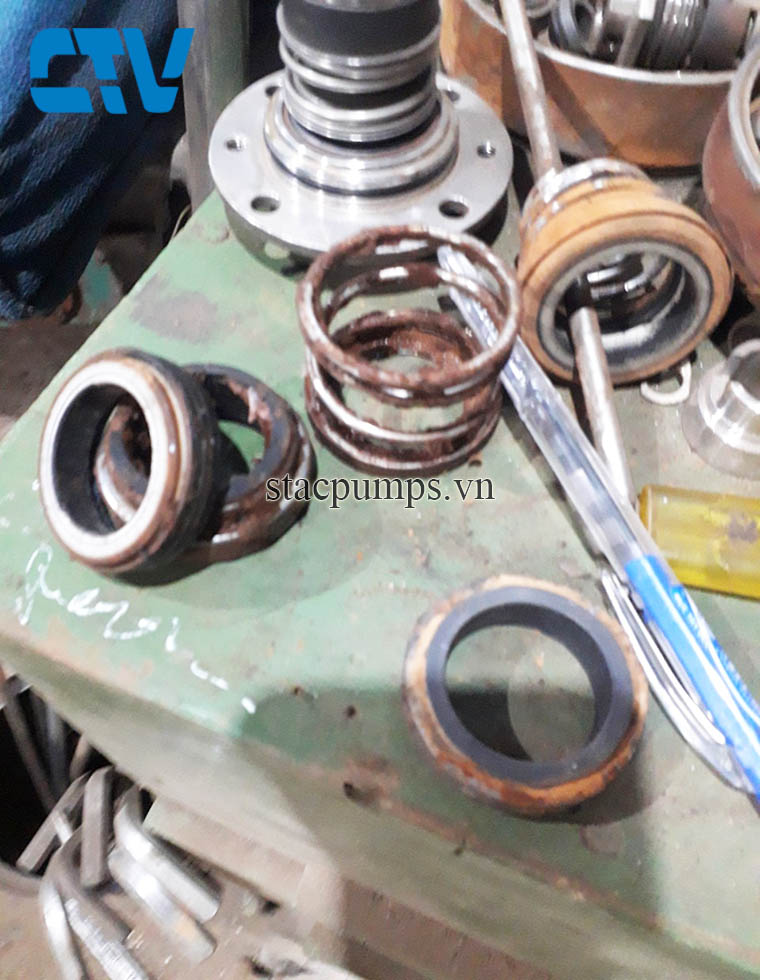 Có nên tự thay phớt máy bơm tại nhà?