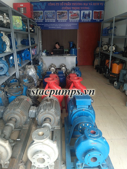 Địa chỉ cho thuê máy bơm trục rời tại Hà nội