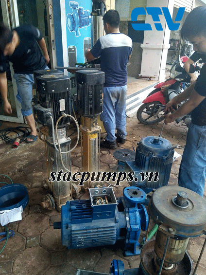 Các lỗi thường gặp ở máy bơm trục đứng và địa chỉ trung tâm sửa chữa tại Hà Nội